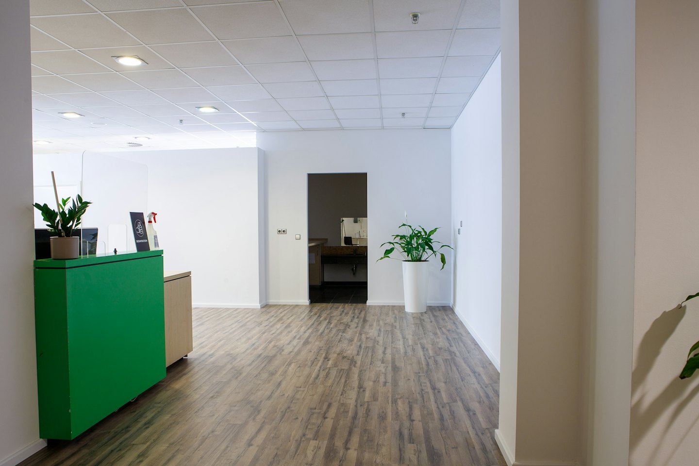 Lobby di un ufficio moderno con reception verde e piante.