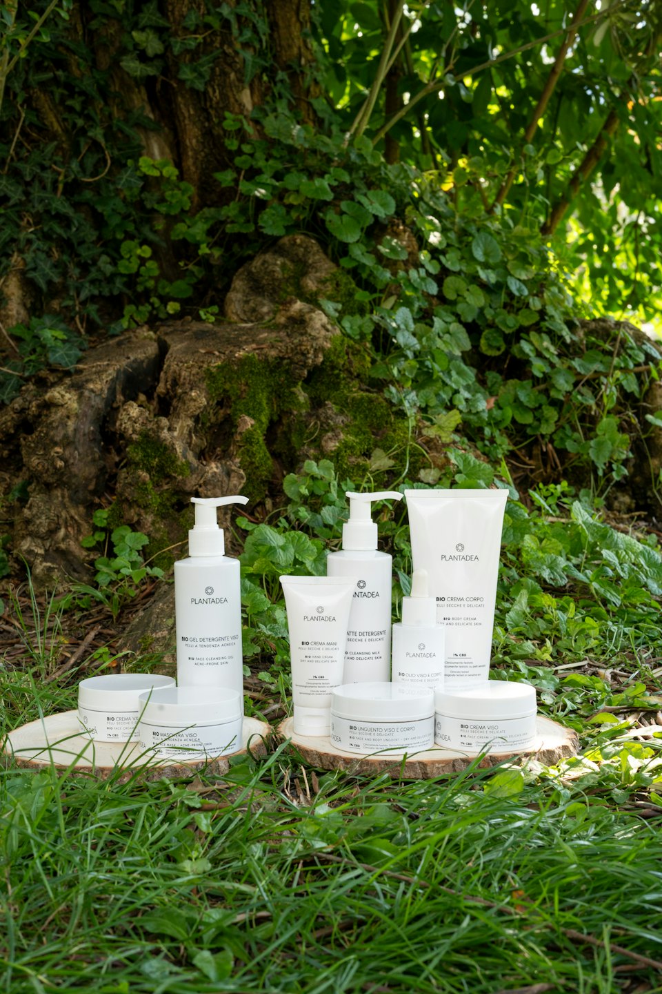 Flaconi e barattoli di cosmetici appoggiati su fette di legno sull'erba.